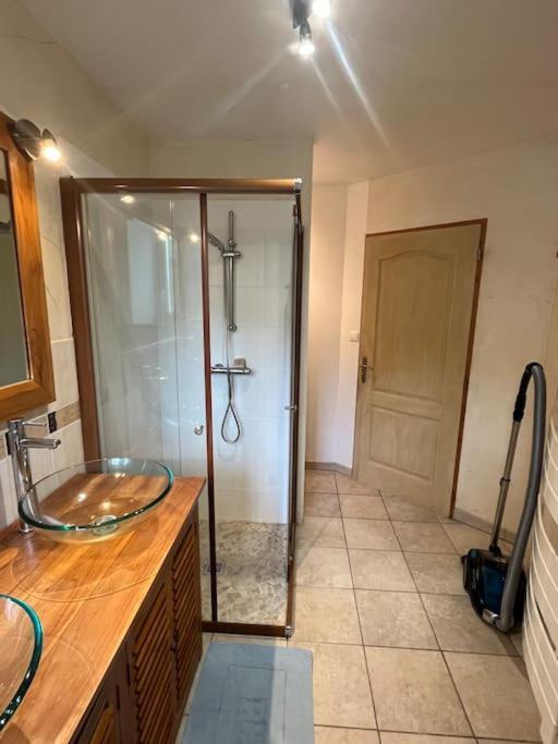 Appartement 5 Personnes Avec Espace Plein Air Saint-Maurice-sur-Moselle Eksteriør billede