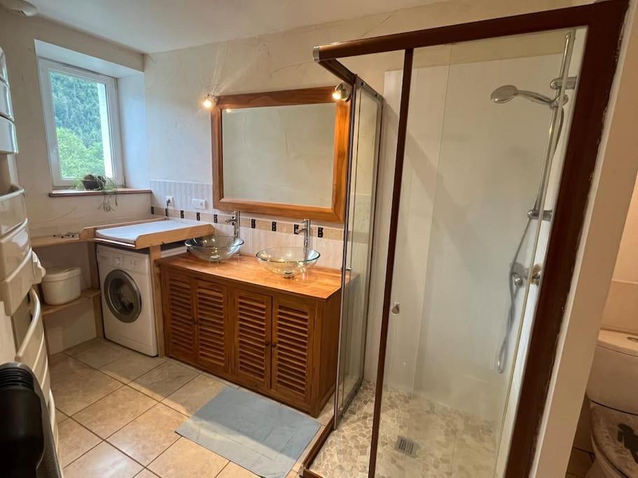 Appartement 5 Personnes Avec Espace Plein Air Saint-Maurice-sur-Moselle Eksteriør billede