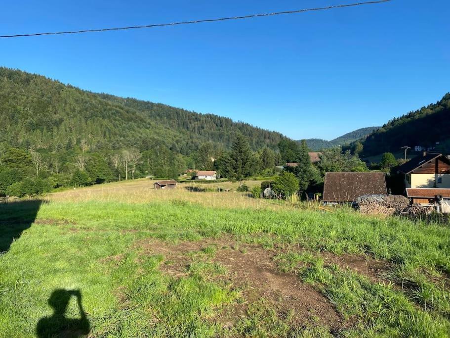 Appartement 5 Personnes Avec Espace Plein Air Saint-Maurice-sur-Moselle Eksteriør billede